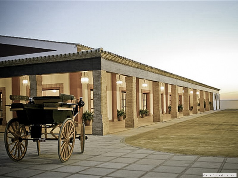 salonatalaya2
